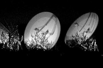 Alexander Walmsley 2